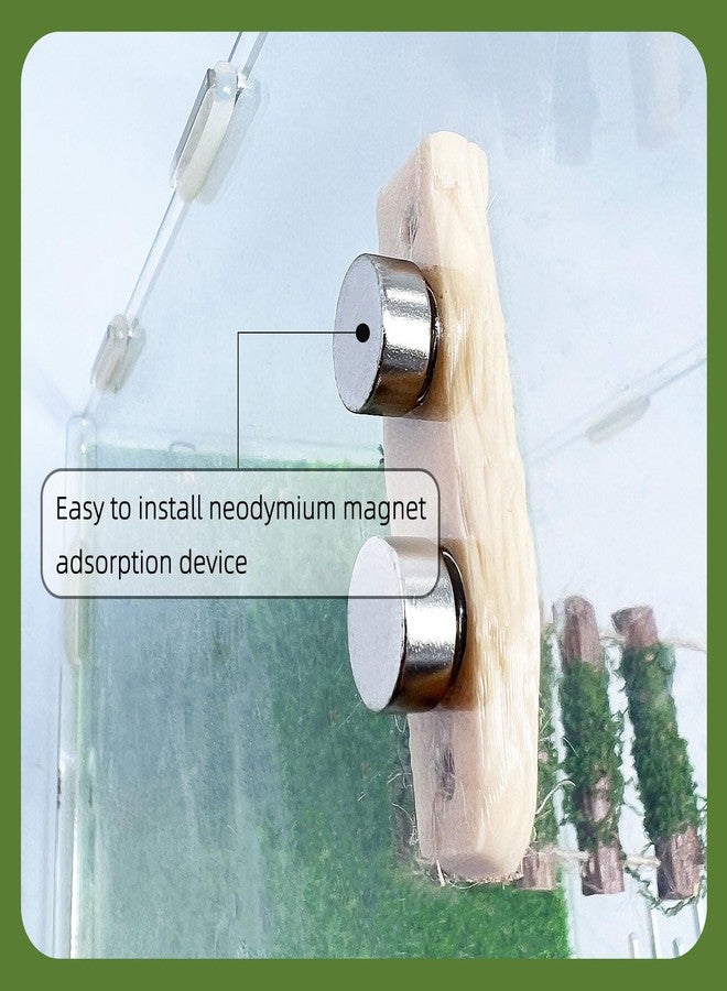 Daerky Jumping Spider Rope Bridge,A Solid Wood Climbing Suspension Bridge, a Jumping Spider Enclosure Accessory, Handmade, a Spider Jump Platform, Used As a Decorative Accessory for Small Reptile Enclosures - Image 5